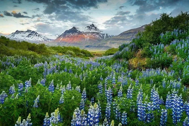 圖集 | 美的不像地球的冰島你早就該去了！