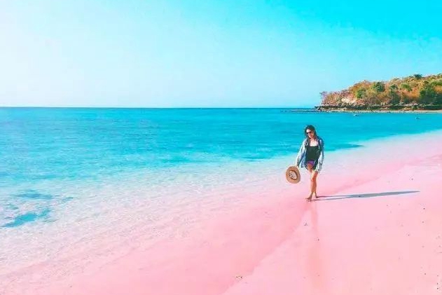 科莫多島的粉紅沙灘 還是不要瞭解的好