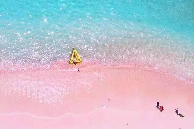 科莫多島的粉紅沙灘 還是不要瞭解的好