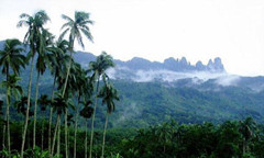 國家林業和草原局：新增海南熱帶雨林為第11個國家公園