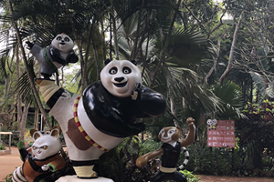 海南首個熊貓世界構造提前看