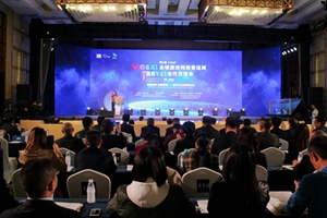 第六屆全球旅遊網絡運營商合作交流會在蓉舉辦