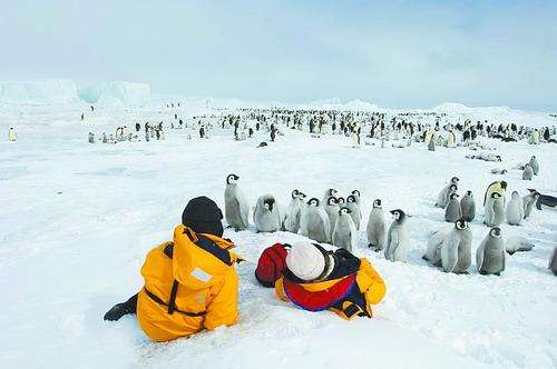 嚴格履行南極保護義務 中國將對南極旅遊立法規範