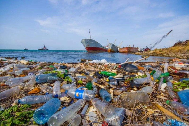 歐盟通過新法案 2021年起禁吸管等即棄塑膠製品