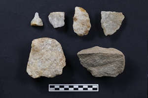 秦嶺地區首次發掘出土早期現代人化石