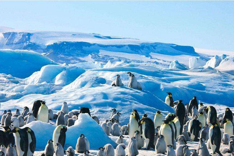 南極近日气温創紀錄18.3℃ 熱過香港