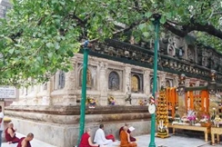 印度“最神聖”的一棵樹，佛陀在樹下頓悟成道，如今成為熱門景點