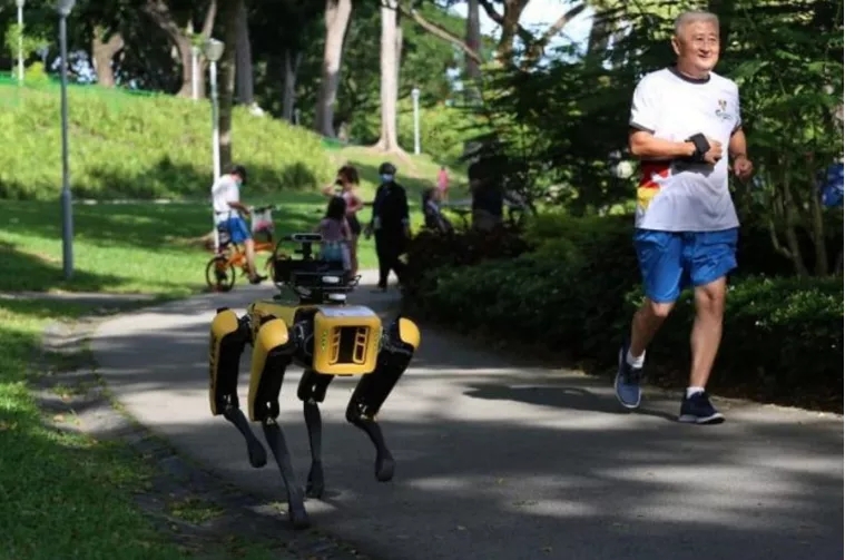 網紅機器狗Spot在新加坡上崗，監控公園訪客，提醒保持安全距離