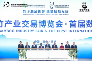 2020中國國際竹產業交易博覽會首屆數字國際熊貓節在四川眉山開幕