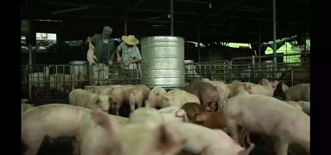 1582020702175213.jpg 640.webp (2).jpg