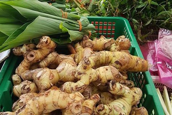 1583894160277087.jpg u=1758491818,2558701430&fm=11&gp=0.jpg