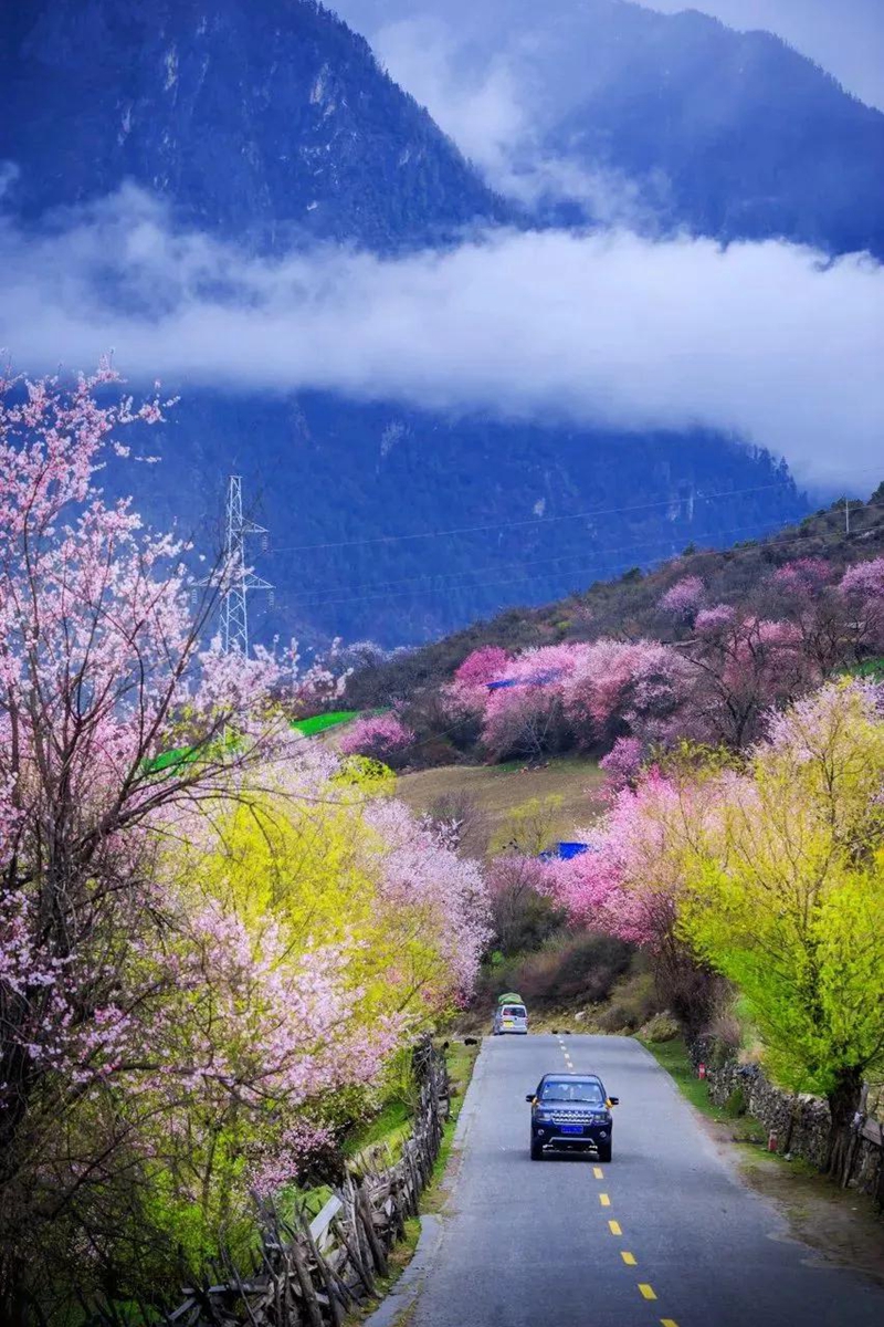 雪域伴聖地，桃花映神山。