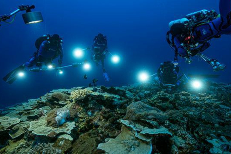 聯合國教科文組織工作組在塔希提島附近發現巨大珊瑚礁