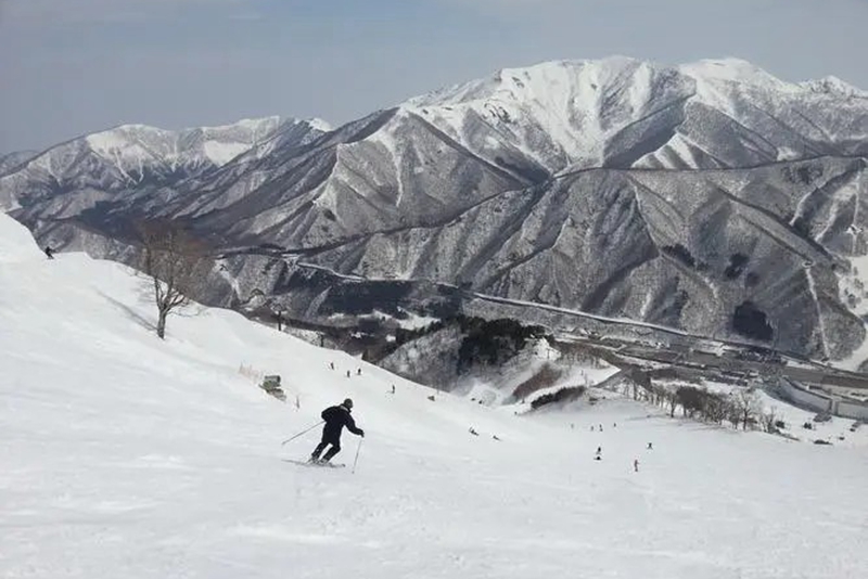 日本新潟縣發生雪崩 一名滑雪者被捲入