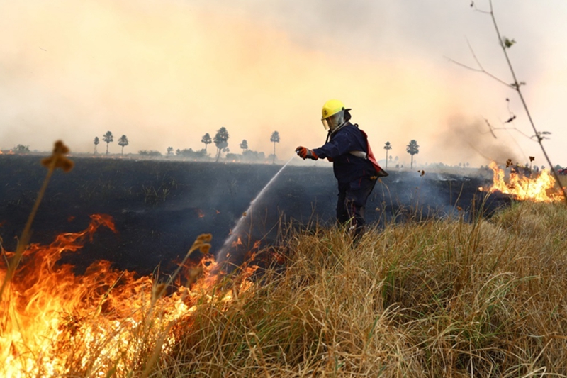 “地球在燃燒” 聯合國環境署：未來極端野火災害可能會急劇增加