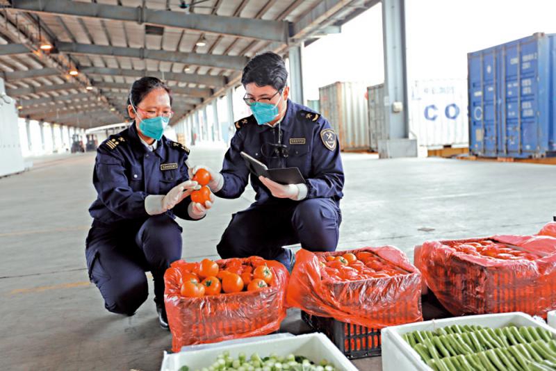 深圳每日輸港近3000噸食品
