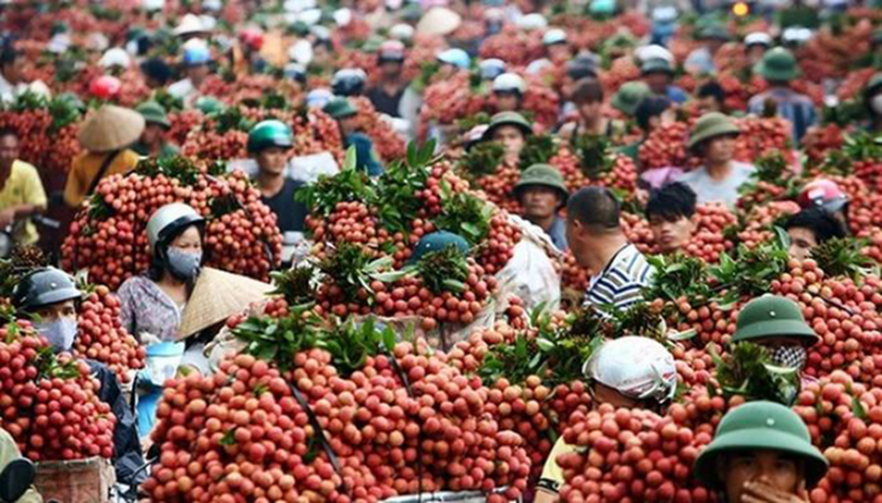越南農產品出口企業認為中國市場仍然很有吸引力