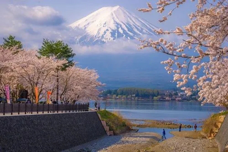 日本：全國旅遊最高每人每天將補貼1.1萬日元
