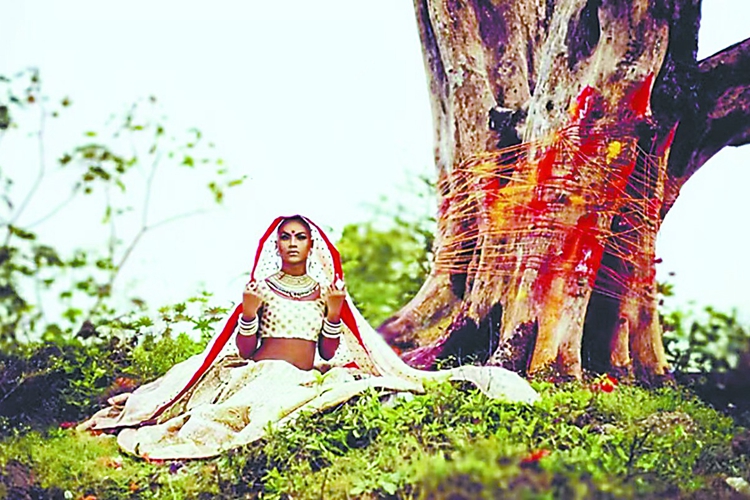  印度女子為何嫁給一棵樹