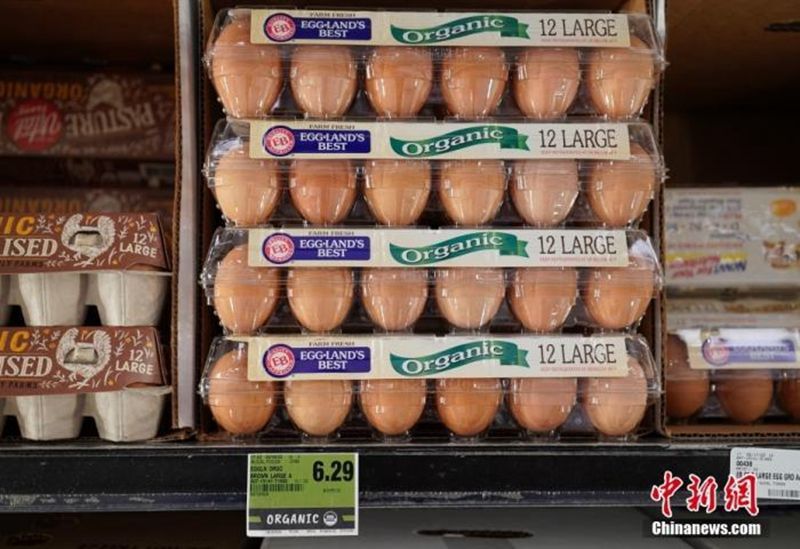 资料图：美国加州圣马特奥县一家超市的鸡蛋货柜。中新社记者 刘关关 摄.jpg