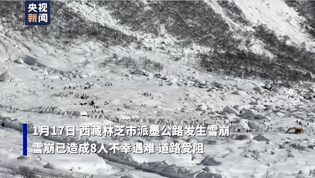 西藏林芝派墨公路多雄拉隧道出口發生雪崩 已致8人遇難