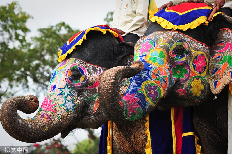 杜絕使用活體動物！印度寺廟用機器大象辦儀式