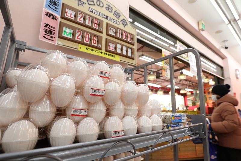 禽流感傳播，“蛋荒”鬧得凶！日本在嘗試替代品