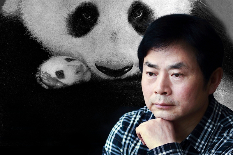 中國名片，世界面孔：著名攝影師周孟棋與大熊貓的影像情緣