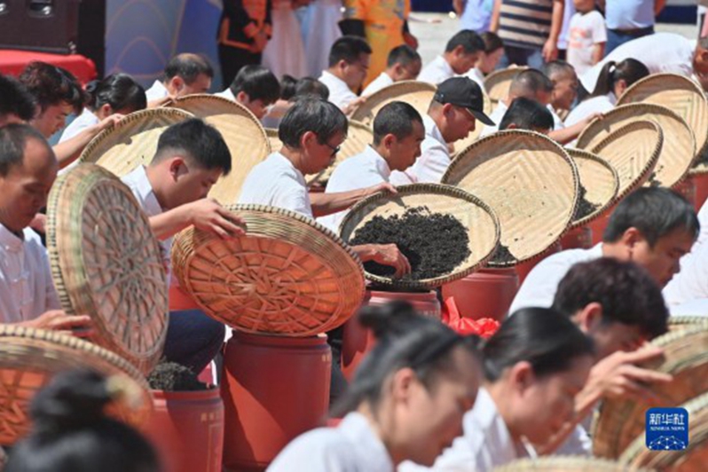 廣西梧州舉辦六堡茶文化節和寶石節