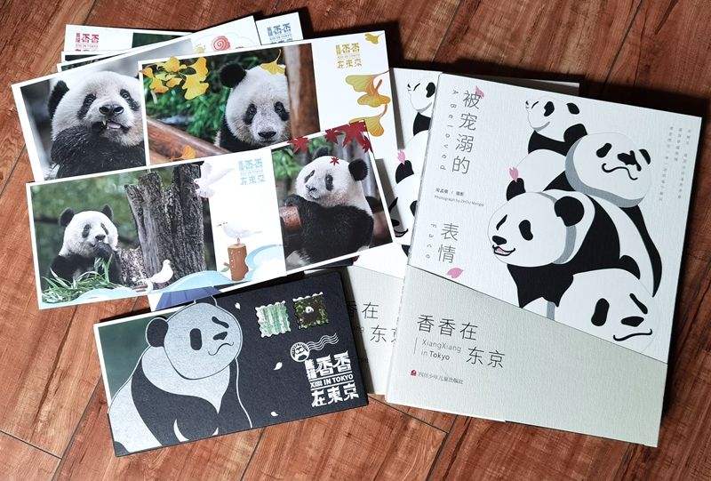 5《被寵溺的表情》、《熊貓香香在東京》.jpg