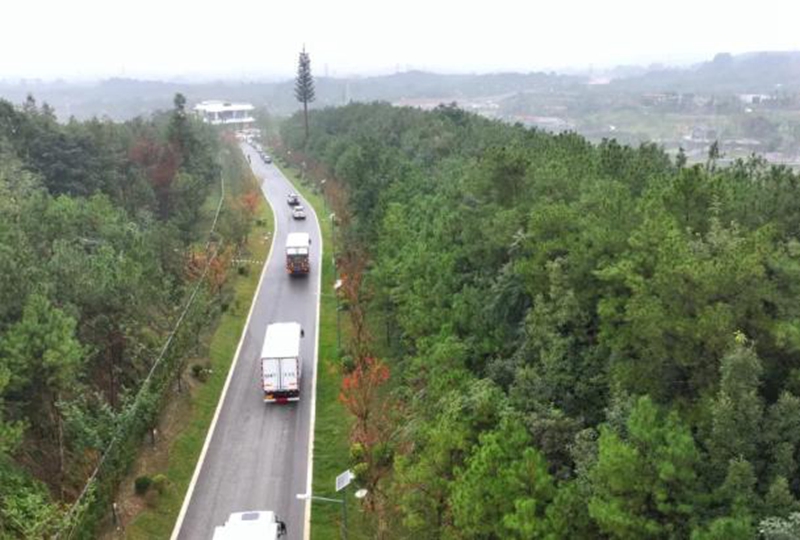 中國大熊貓保護研究中心綿陽基地投入試運行