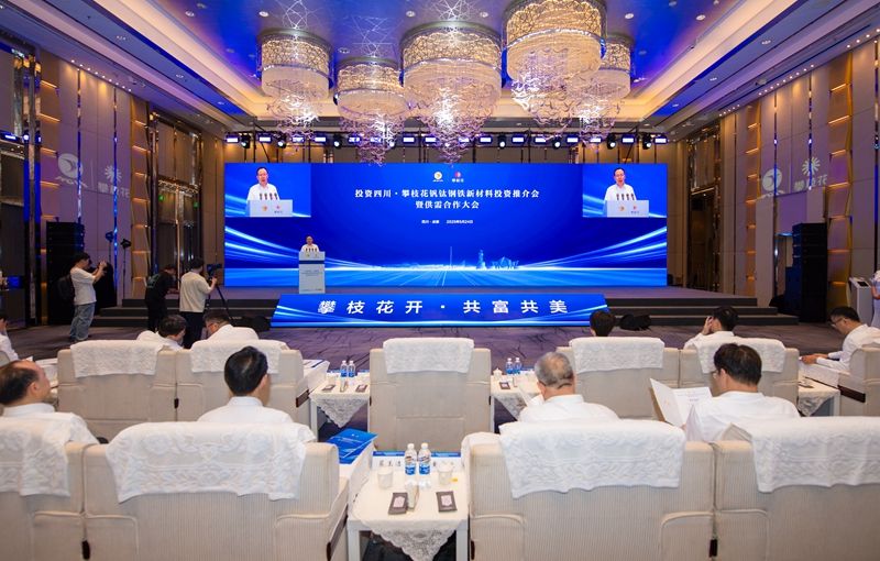 王东摄影 (4).jpg