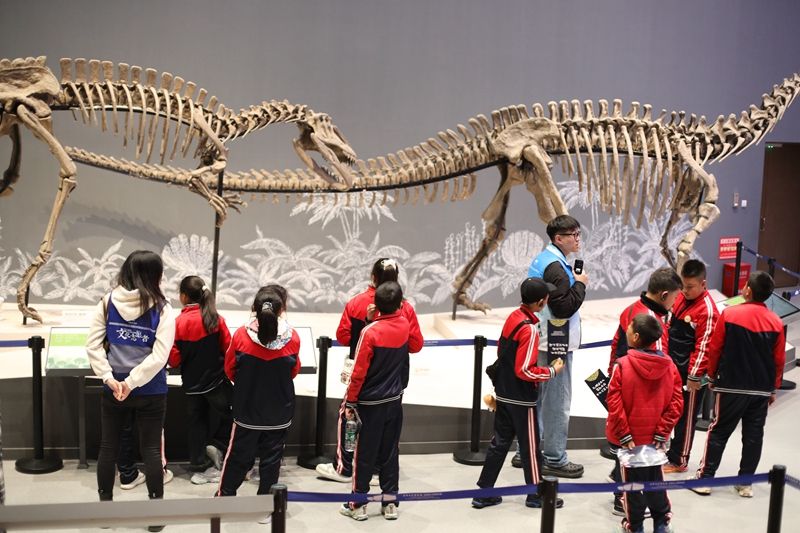 1762742583128535.jpg 1a7159298946011ae34758673665bb84.jpg