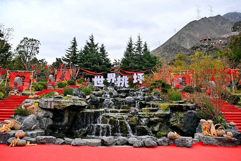 LOCAL17634684834726EADQT8VVN (1).jpg