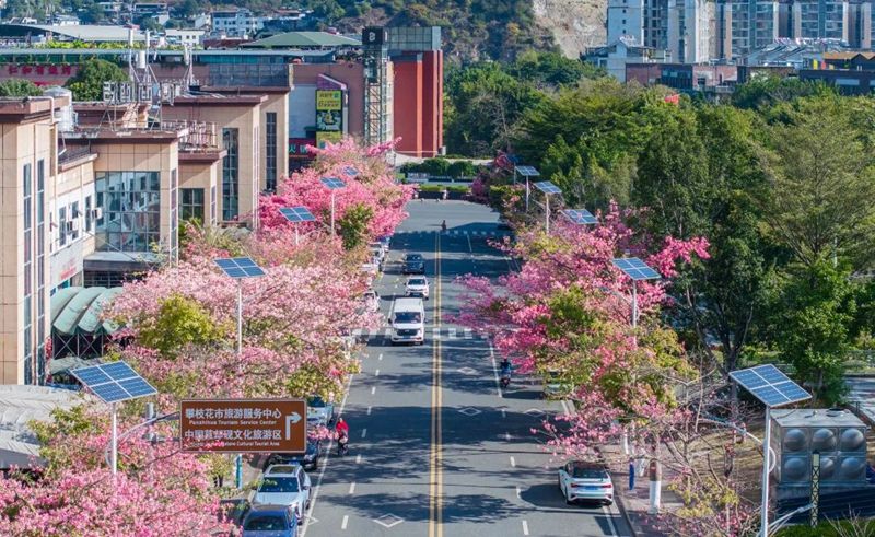 1765283917802298.jpg 6.jpg