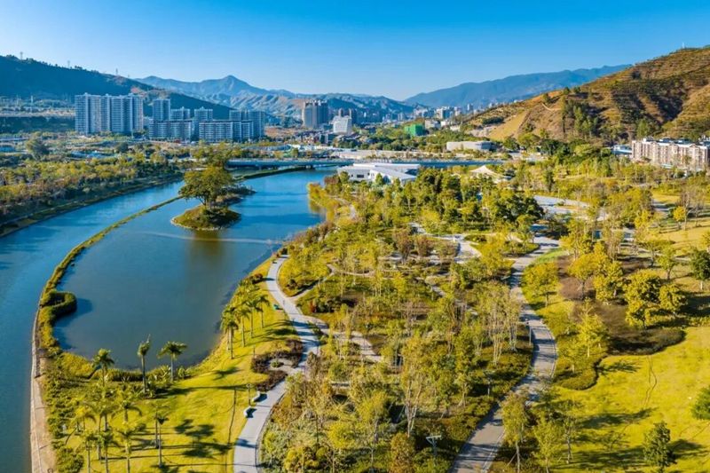 1765283920966813.jpg 7.jpg