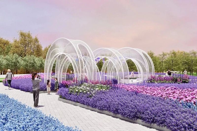 1766219915293571.jpg 6.jpg