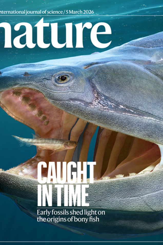 中國硬骨魚類研究新突破！填補“從魚到人”演化空白