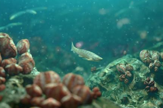 重慶發現世界最早的硬骨魚化石