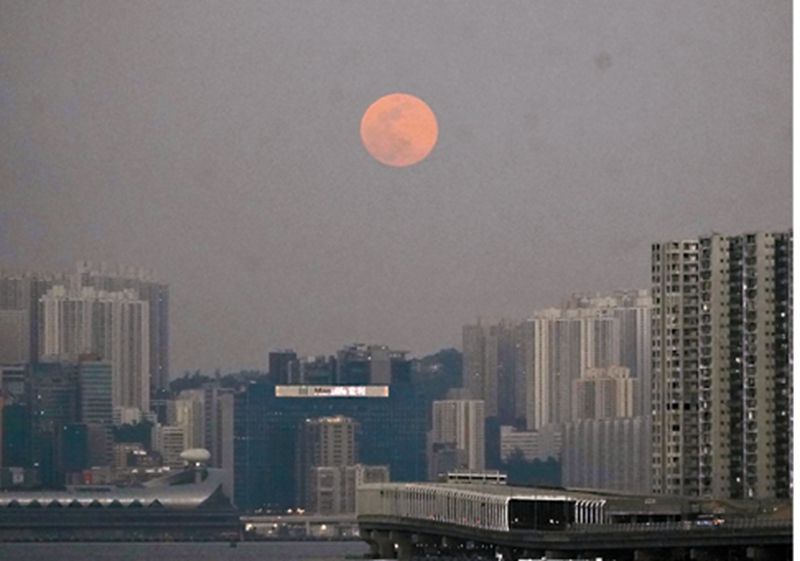 1767496231215388.jpg 6959b8a6e4b08c07fcc2b990.jpg