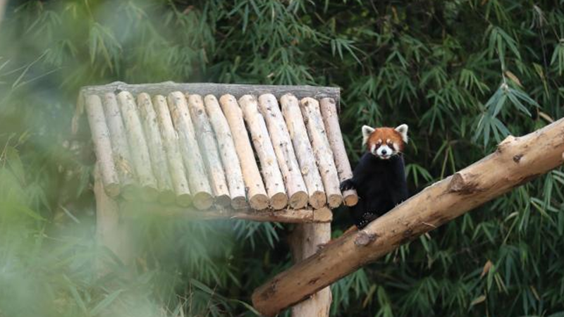 1770620797571641.png 微信图片_20260209150615_329_15.png