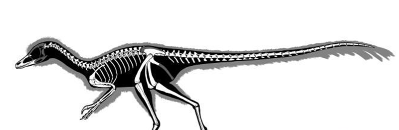 1772075553244410.png 微信图片_20260226111101_369_15.png