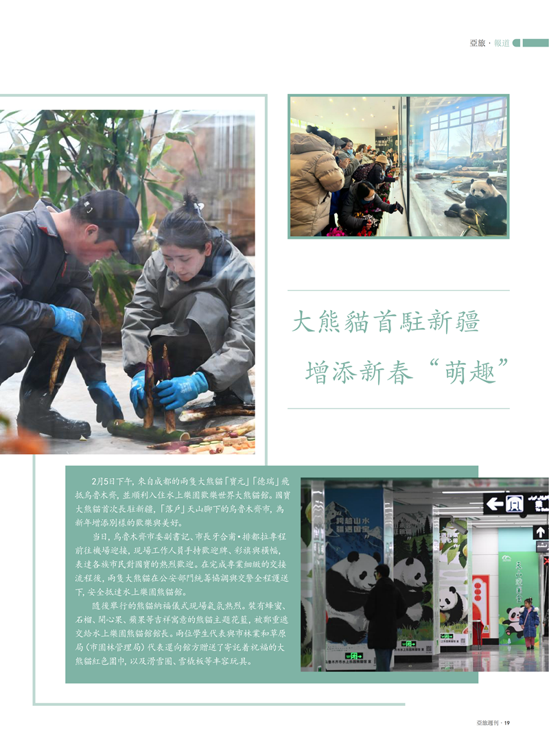 85主文件(2)_21.png