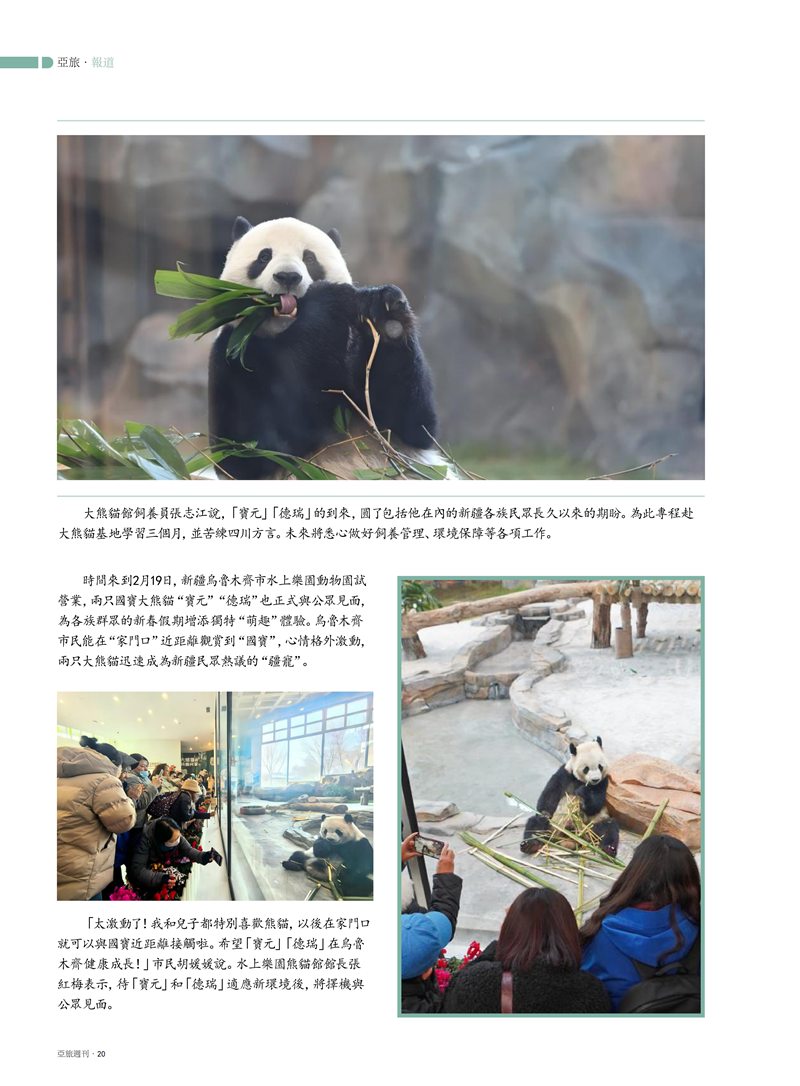 85主文件(2)_22.png