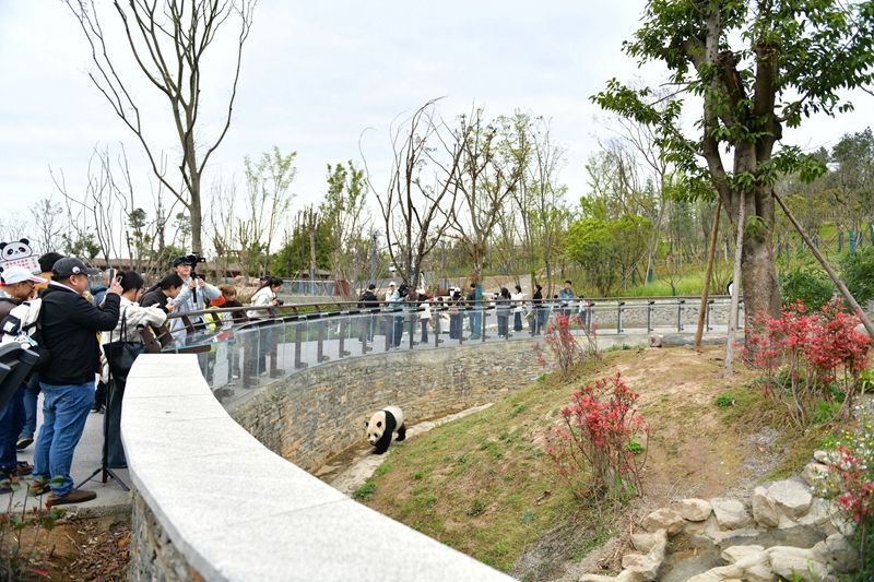 1773971862194761.jpg 7.jpg